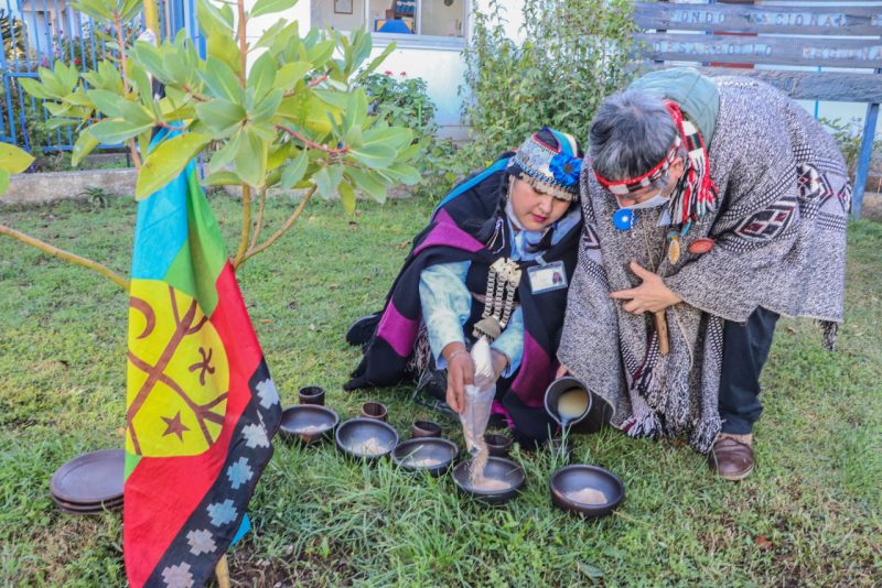 Ferias Interculturales Del Servicio De Salud Talcahuano Buscan Relevar